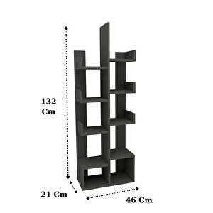 Pamfilya 10 Bölmeli/Raflı Kitaplık Antrasit