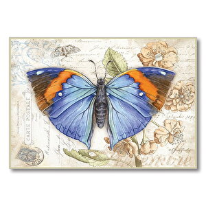 Kartpostal Üstünde Mavi Kelebek  Mdf Ahşap Tablo 35x50 cm
