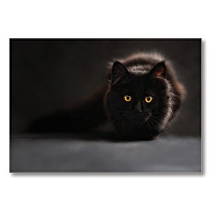 Sarı Gözlü Kara Kedi  Mdf Ahşap Tablo 25x35 cm