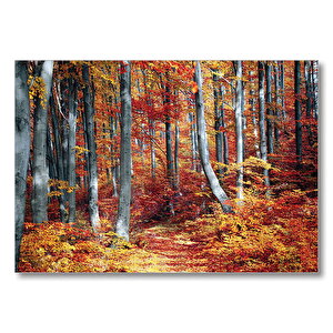 Sonbaharda Orman  Mdf Ahşap Tablo 35x50 cm