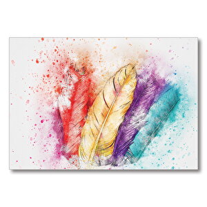 Renkli Kuş Tüyleri  Mdf Ahşap Tablo 50x70 cm