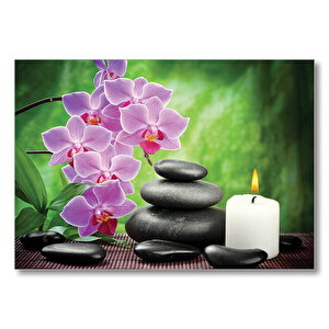 Mum Taşlar Çiçek Görseli  Mdf Ahşap Tablo 50x70 cm