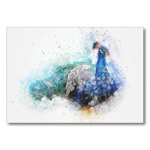 Suluboya Tavuskuşu  Mdf Ahşap Tablo 50x70 cm