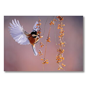 Meyva Ile Beslenen Kuş  Mdf Ahşap Tablo 35x50 cm