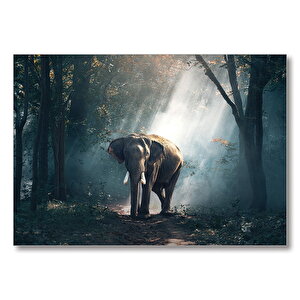 Ormanda Fil  Mdf Ahşap Tablo 25x35 cm