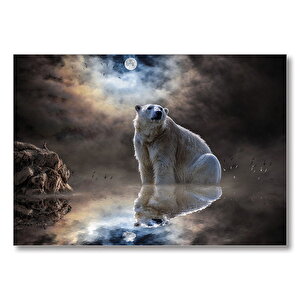 Kutup Ayısı Doğa Gece  Mdf Ahşap Tablo 35x50 cm