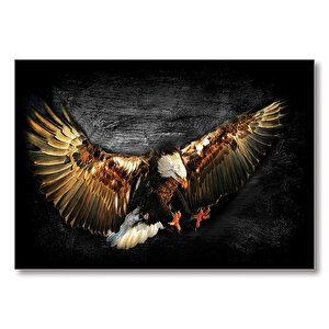 Siyah Zeminde Kartal  Mdf Ahşap Tablo 50x70 cm