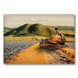 Salyangoz Kız Doğa Yol Soyut  Mdf Ahşap Tablo 50x70 cm
