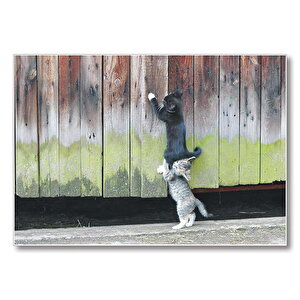 Yardım Sever Kedi  Mdf Ahşap Tablo 50x70 cm