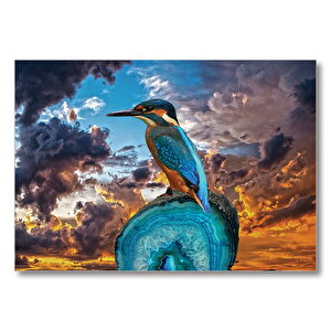 Gün Batımı Yalı Çapkını Kuş  Mdf Ahşap Tablo 50x70 cm