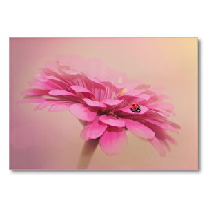 Uğur Böceği Pembe Çiçek  Mdf Ahşap Tablo 35x50 cm