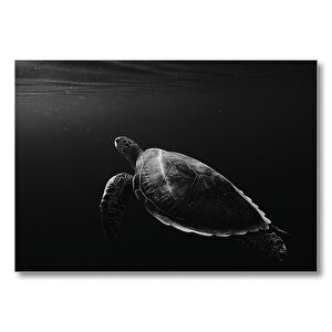 Deniz Kaplumbağası Fantastik  Mdf Ahşap Tablo 50x70 cm