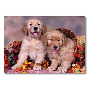 Sepetteki Yavru Köpekler  Mdf Ahşap Tablo 25x35 cm