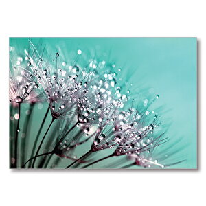 Çiçekler Üzerinde Çiy Damlaları  Mdf Ahşap Tablo 35x50 cm