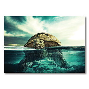 Turtle  Mdf Ahşap Tablo 50x70 cm