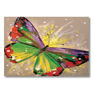 Renkli Kelebek Yağlı Boya  Mdf Ahşap Tablo 25x35 cm