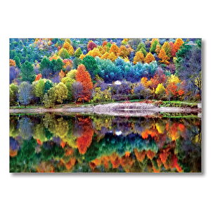 Sonbahar Doğa Renkleri  Mdf Ahşap Tablo 50x70 cm