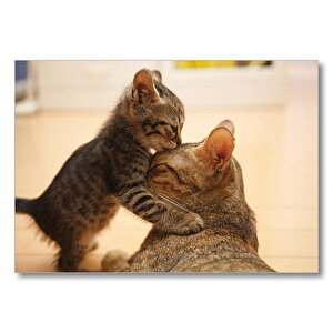 Yavru Kedi Anne Sevgisi  Mdf Ahşap Tablo 35x50 cm