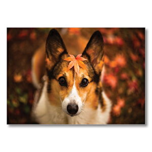 Ormanda Yapraklı Köpek  Mdf Ahşap Tablo 25x35 cm