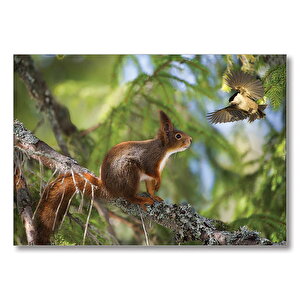 Sincap Kuş Muhabbeti  Mdf Ahşap Tablo 50x70 cm