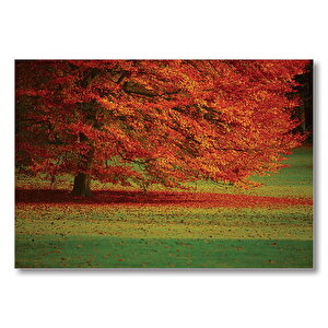 Kırmızı Ağaç Sonbahar  Mdf Ahşap Tablo 25x35 cm