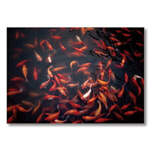 Kırmızı Balıklar  Mdf Ahşap Tablo 50x70 cm