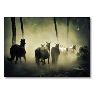 Horses  Mdf Ahşap Tablo 35x50 cm