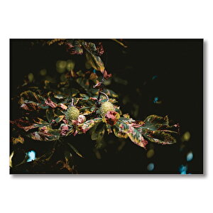 Ormanda Kuruyan Yaprak  Mdf Ahşap Tablo 35x50 cm