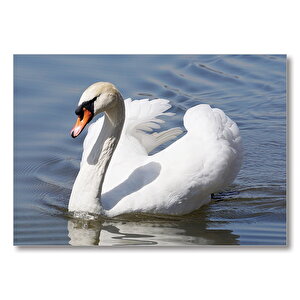 Kuğu Kuşu  Mdf Ahşap Tablo 25x35 cm