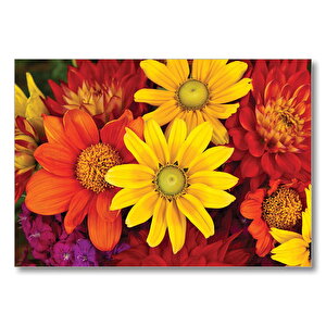 Renkli Çiçekler  Mdf Ahşap Tablo 50x70 cm