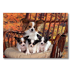 Sandalyede Yavru Köpekler  Mdf Ahşap Tablo 25x35 cm