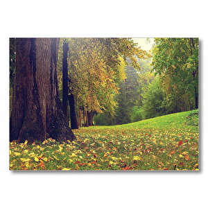 Orman Ve Çimler Doğa  Mdf Ahşap Tablo 35x50 cm