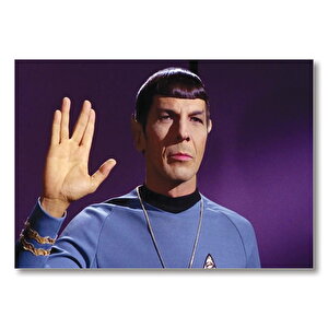 Mister Spock  Mdf Ahşap Tablo 50x70 cm
