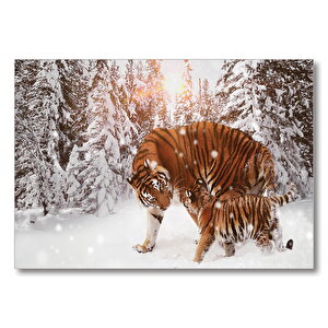Kaplan Ve Yavrusu Karda  Mdf Ahşap Tablo 35x50 cm