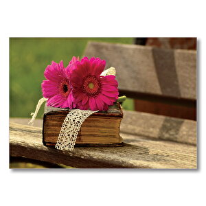 Gerbera, Eski Kitap Ve Dantel  Mdf Ahşap Tablo