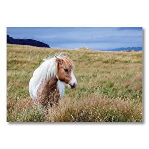 Beyaz Yeleli Midilli  Mdf Ahşap Tablo 25x35 cm