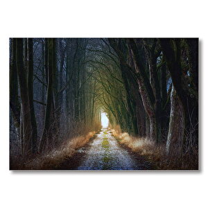 Işık Yaprak Yol  Mdf Ahşap Tablo 25x35 cm