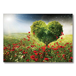 Gelincik Tarlası Kalp Şeklinde Ağaç  Mdf Ahşap Tablo 50x70 cm