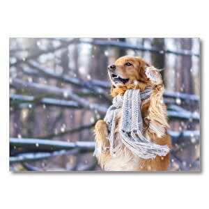 Atkılı Köpek  Mdf Ahşap Tablo 50x70 cm