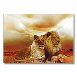 Hayat Arkadaşları  Mdf Ahşap Tablo 25x35 cm