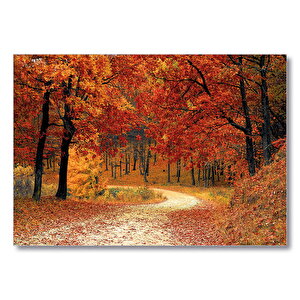Sonbaharda Orman Görseli  Mdf Ahşap Tablo 35x50 cm