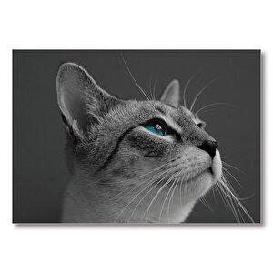 Derin Bakışlı Kedi  Mdf Ahşap Tablo 50x70 cm