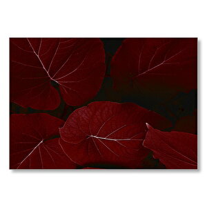 Kırmızı Dev Yapraklar Mdf Ahşap Tablo 35x50 cm