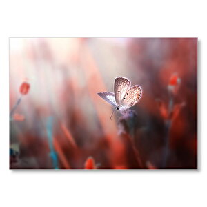 Kırmızı Çiçekler Ve Beyaz Kelebek Mdf Ahşap Tablo 35x50 cm