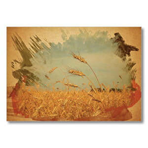 Buğday Başaklar  Mdf Ahşap Tablo 50x70 cm