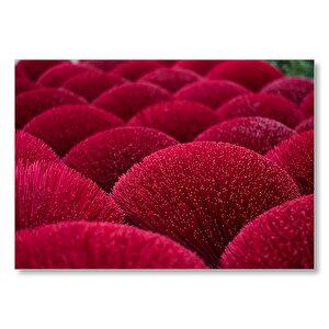 Kırmızı Dekoratif Küresel Objeler Mdf Ahşap Tablo 50x70 cm