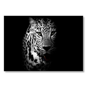 Leopar Siyah Beyaz Mdf Ahşap Tablo 25x35 cm