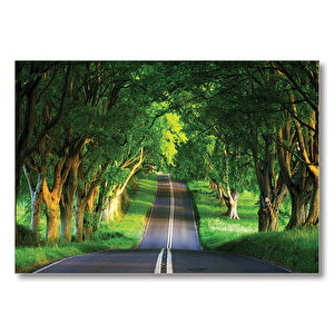 Ağaçlar Ve Yol  Mdf Ahşap Tablo 50x70 cm