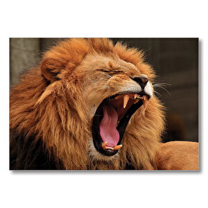 Aslan Esneyen  Mdf Ahşap Tablo 50x70 cm