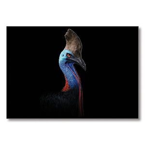 Şapkalı Kuş  Mdf Ahşap Tablo 35x50 cm